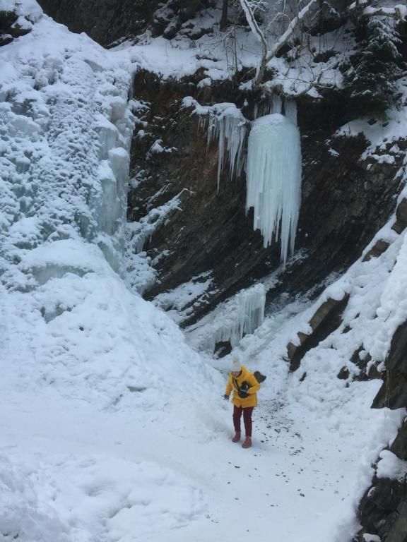 Виллы Рукавичка Яремче