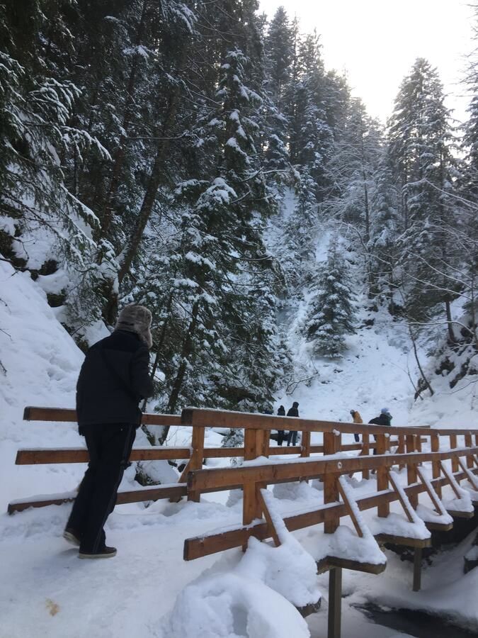 Виллы Рукавичка Яремче